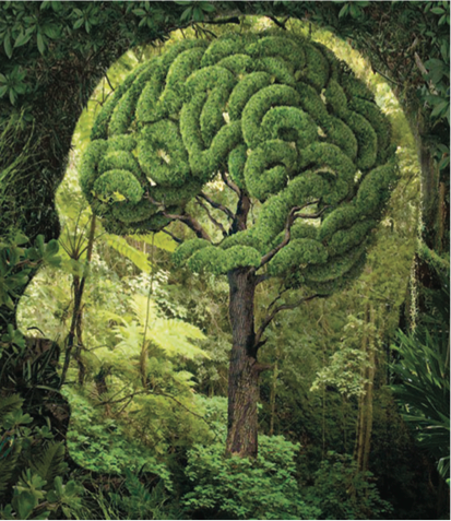 Tree shaped as a brain in a forest environment