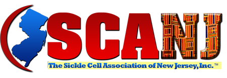 SCANJ logo