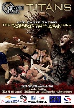 mixed martial arts for beginners