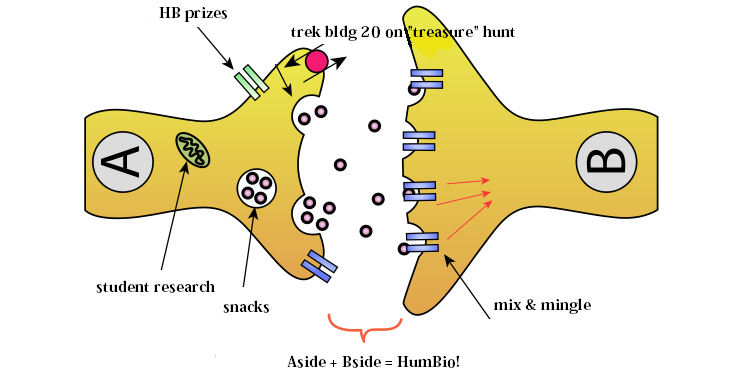 synapse cartoon