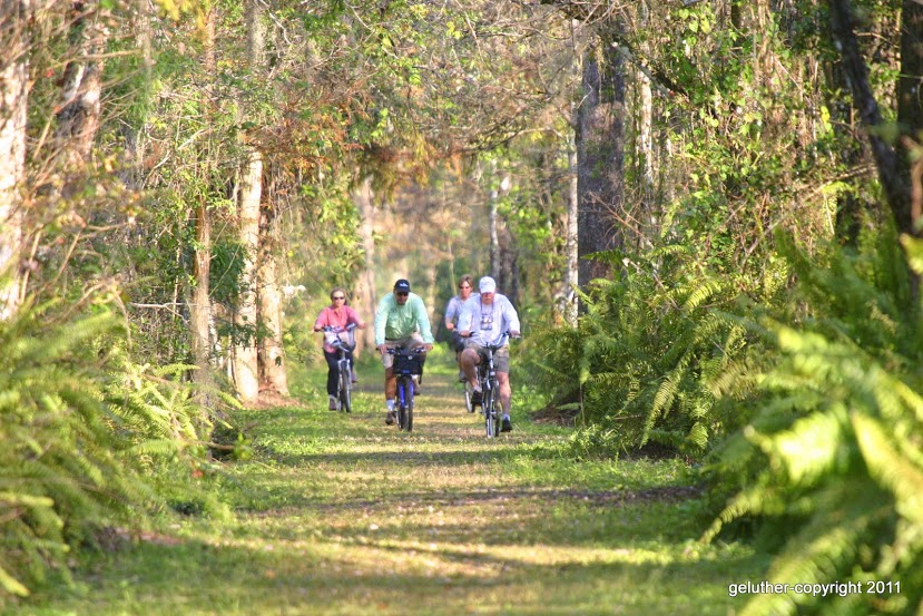 Bike the Loop: Bird Rookery Swamp