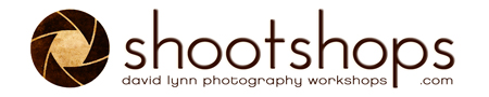 shoothsop logo_info