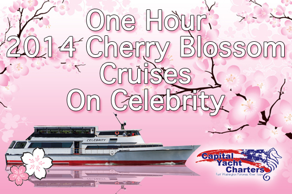 2014 Cherry Blossom Tours - Celebrity