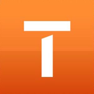Team One Logo