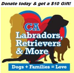 California Labradors, Retrievers & More Rescue