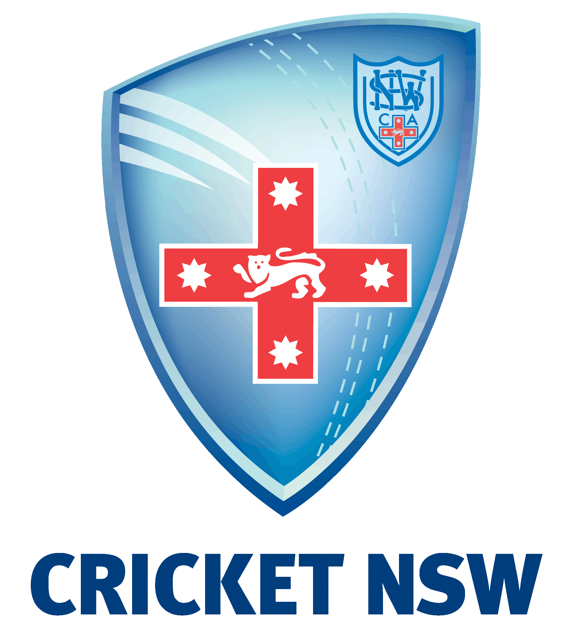 For more information about Cricket NSW, follow this link