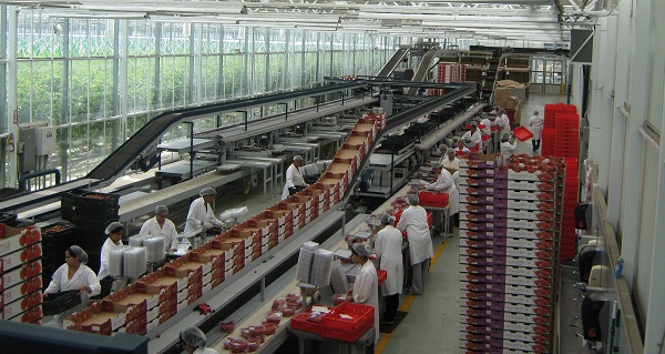 PTI Symposium Windset Packing Line