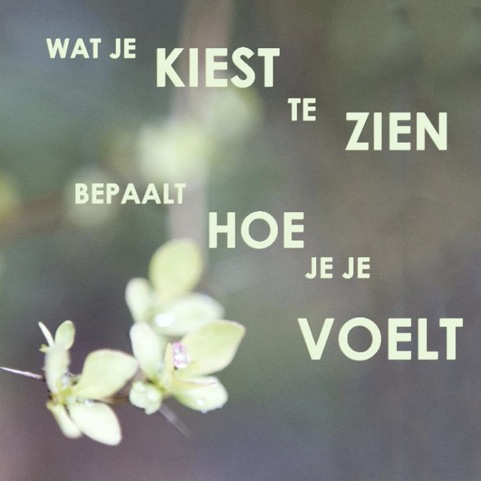 Wat je kiest te zien... Wat je kiest te zien...