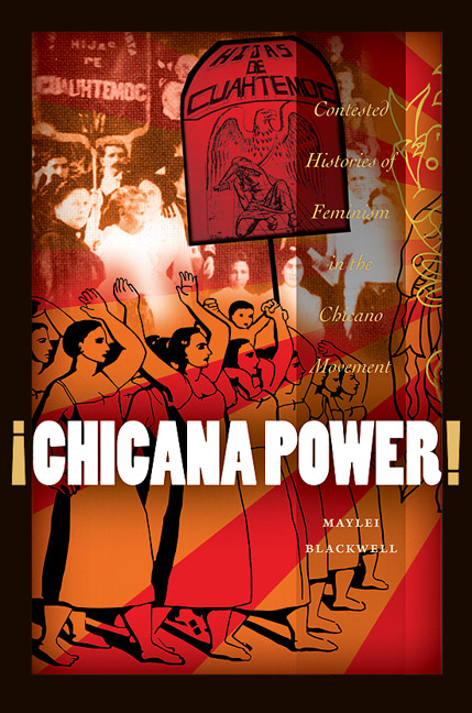 Chicana Power Chicana Power Book image