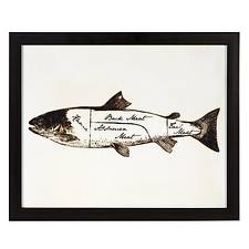 fish fish