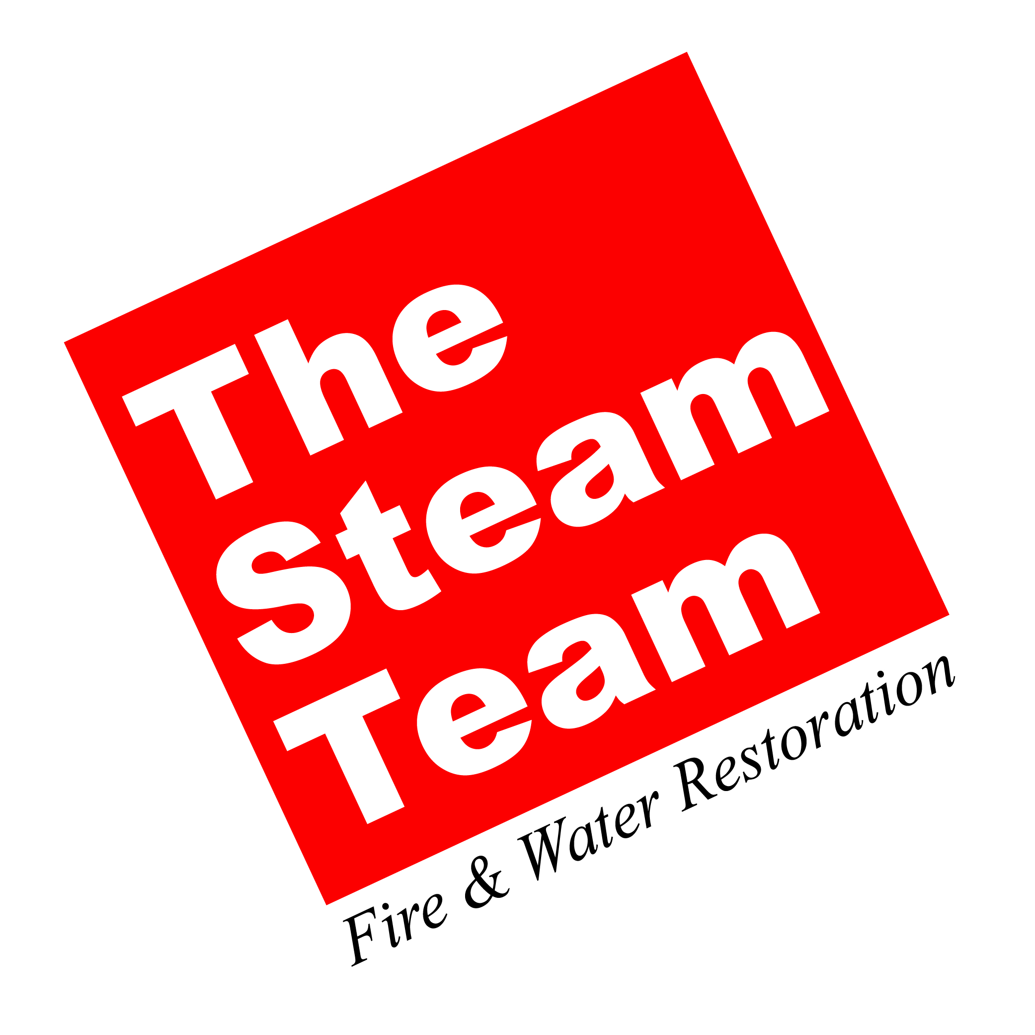 The Steam Team Logo