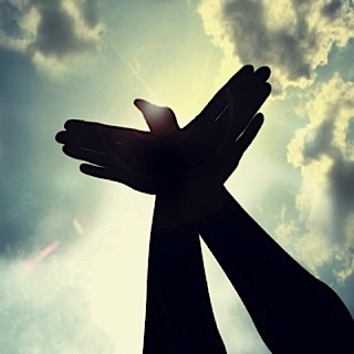 dove hands