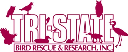TSBRR Logo
