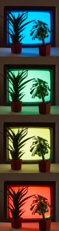 office plants n tvs