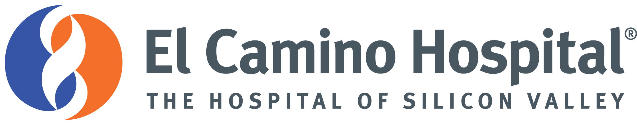 el camino logo