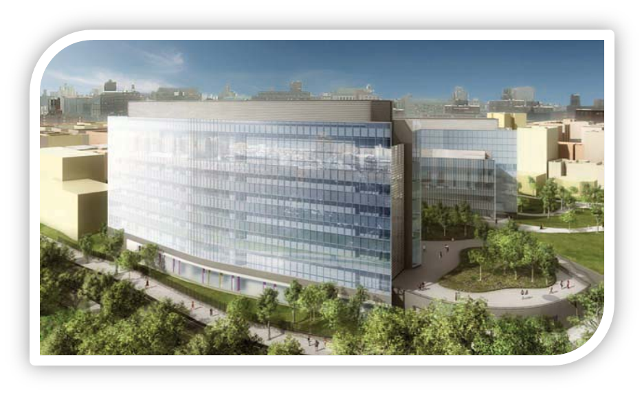 ASRC Rendering