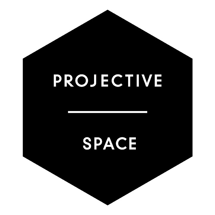 Pojective Logo Projective Space L.E.S. logo