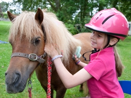 Pony grooming and pony rides at Cheshire Pony Parties