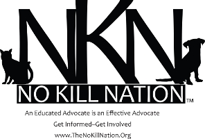 NKN Logo