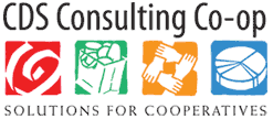 CDS Consulting logo