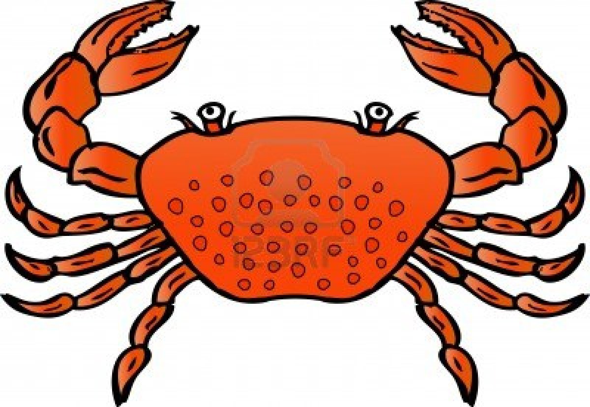 king crab clipart - photo #40