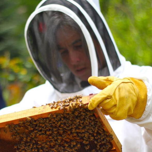 Vera with her bees