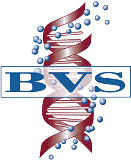 Biotech Vendor Services BVS Logo
