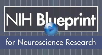 About Blueprint Neurotherapeutics Network