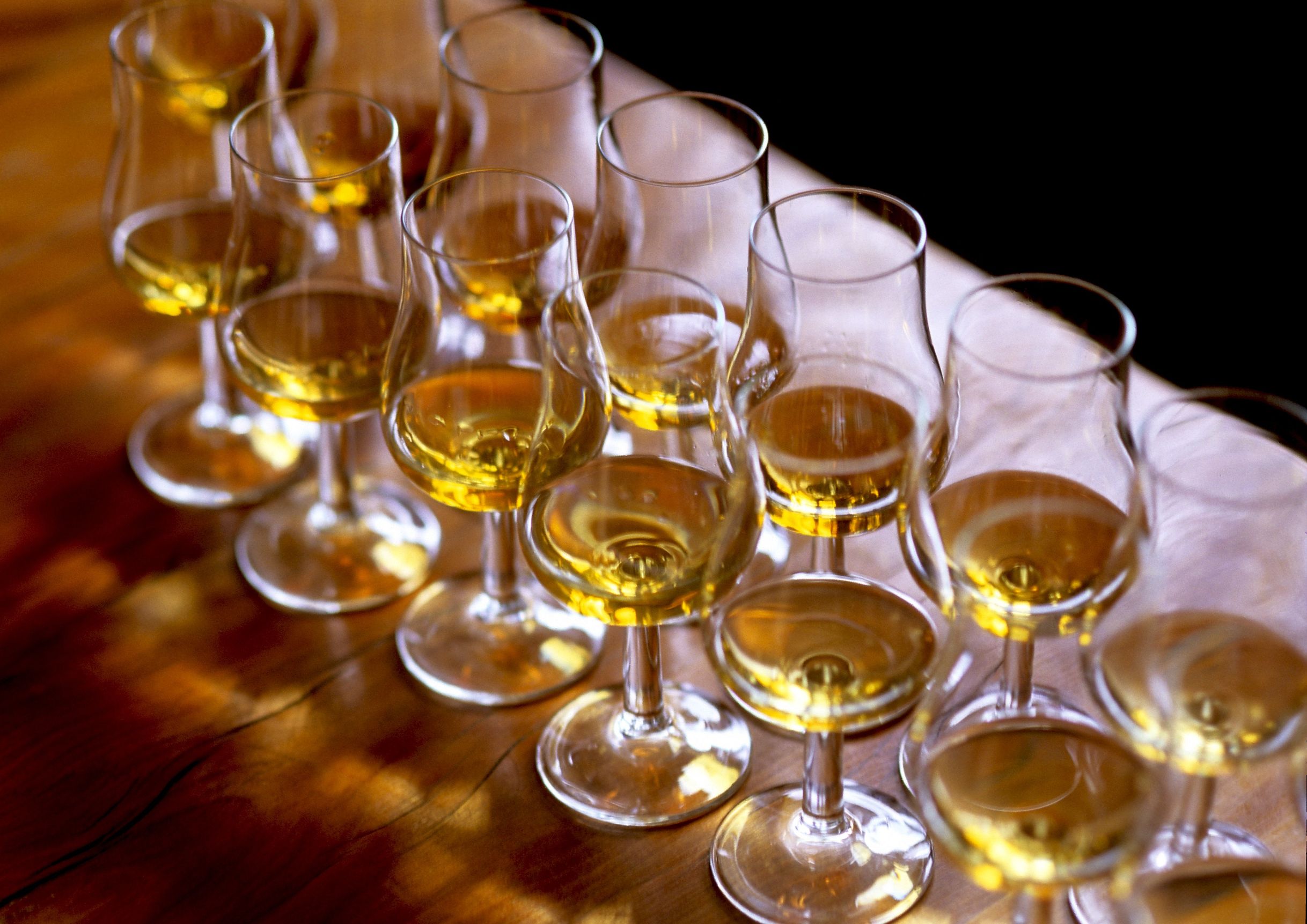 Scotch glasses lined up for Scotch tasting