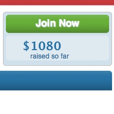 FirstGiving screenshot
