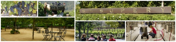 St. Supery Collage of Images St. Supery Collage of Images
