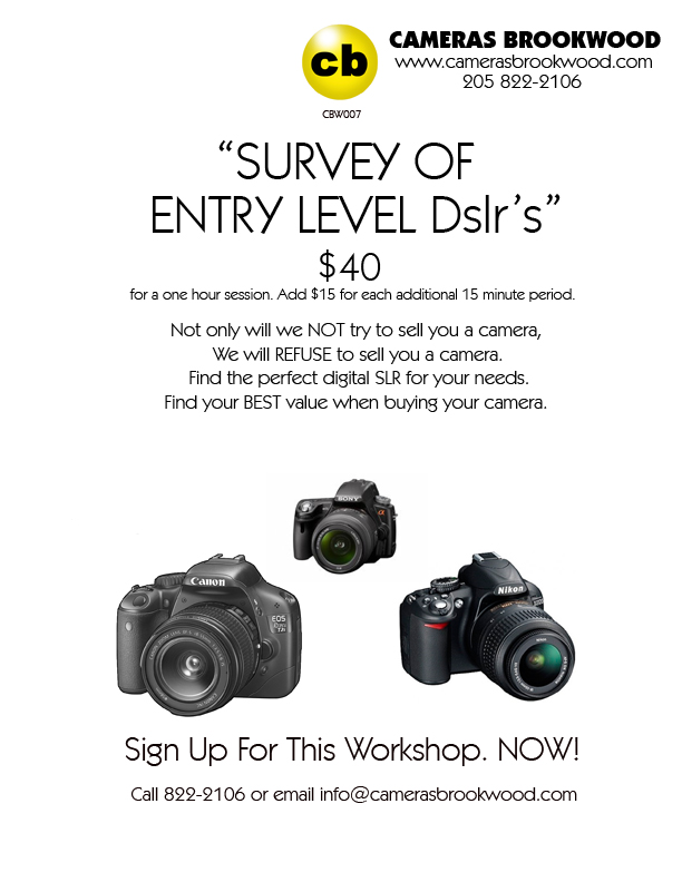 Survey of Entry Level DSLR Cameras flier