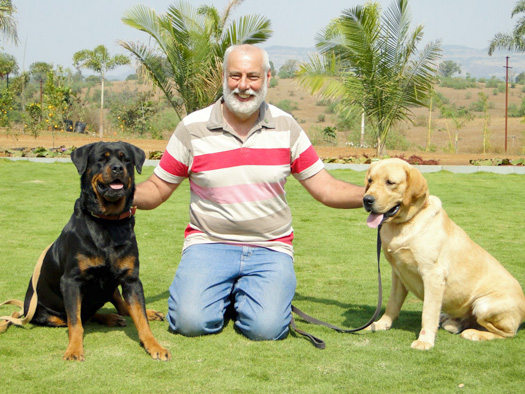 John Rogerson on Puppy Development | 2-Day Seminar ...