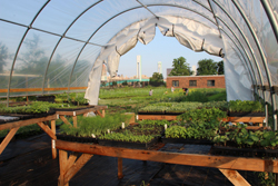Food & Climate Change Food & Climate Change