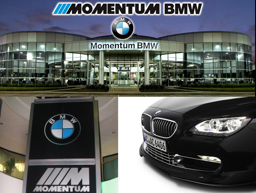 Bmw momentum new years party #2