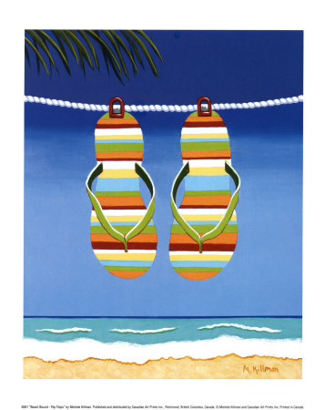 Flip Flops Flip Flops