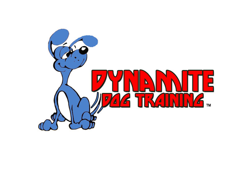 Dynamite Dog Training