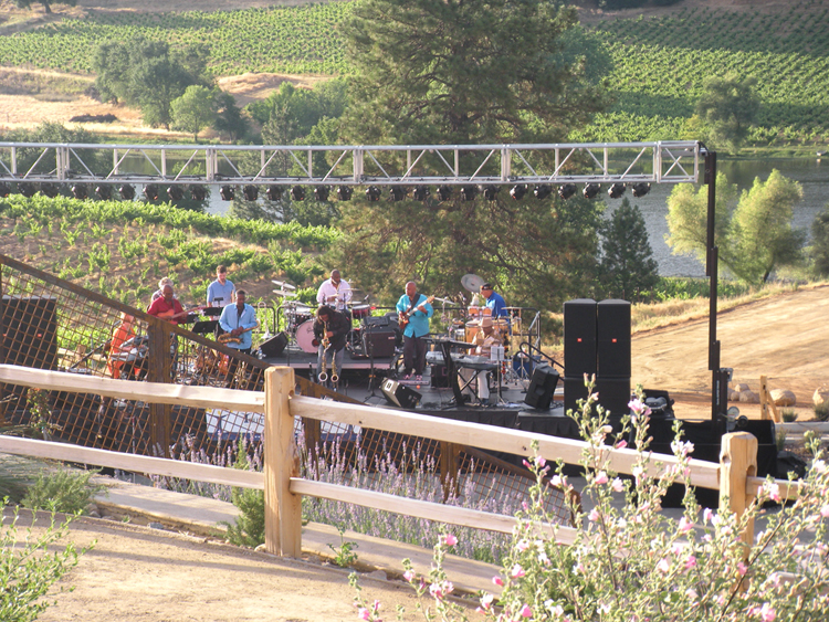 Utopian Dreams in vineyard Utopian Dreams in vineyard