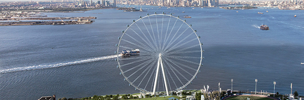 NY Wheel NY Wheel