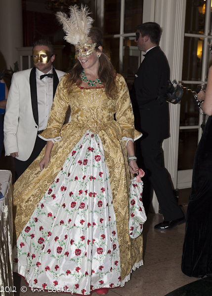 Masquerade Ball costume Masquerade Ball costume