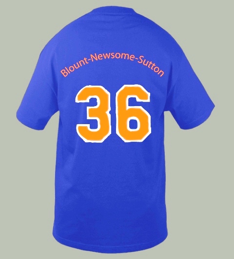 BNS 2013 T Shirt Back
