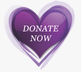 Donate for Alice Pallum