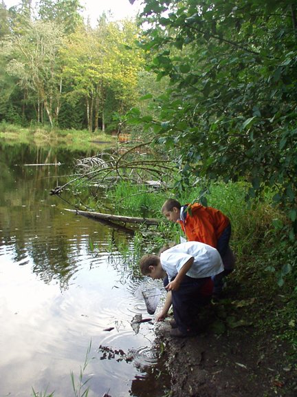 explorers dip netting at Pond 2