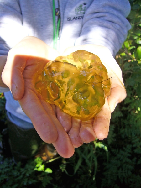 Christina with egg mass