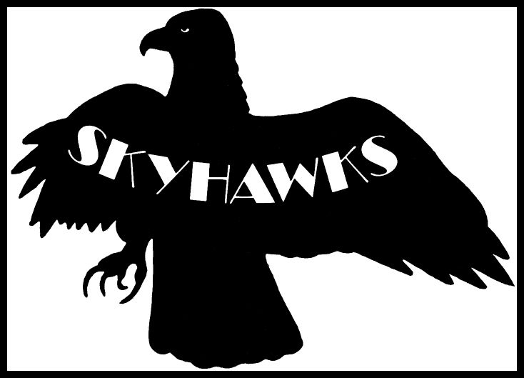 The Skyhawks Pic