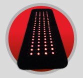 In Light Wellness Systems - Painbuster II pad