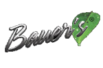 Bauer's Intelligent Transportation Bauer's Intelligent Transportation