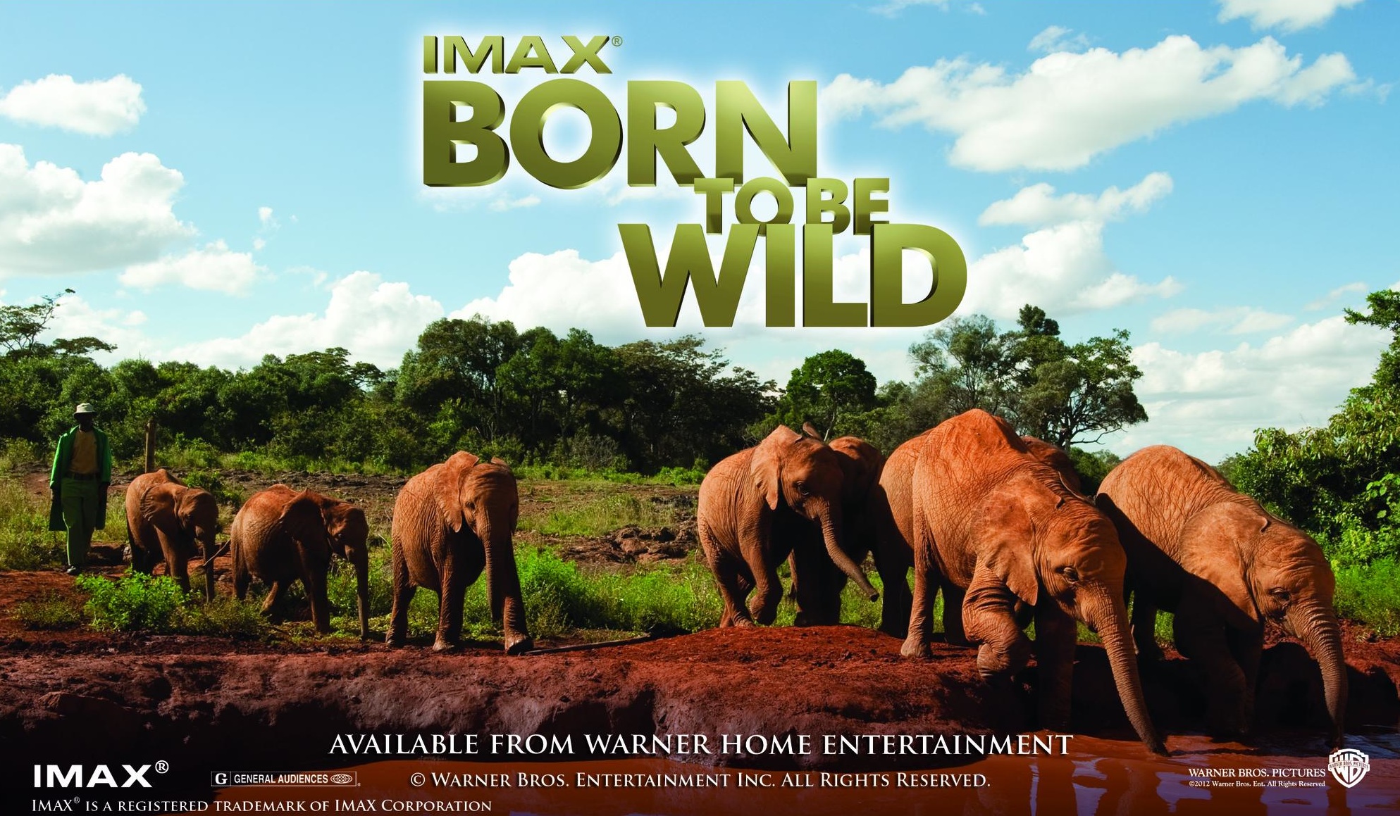 Free Marina Movie Nights: IMAX's Born to Be Wild (2011) Tickets, Thu ...