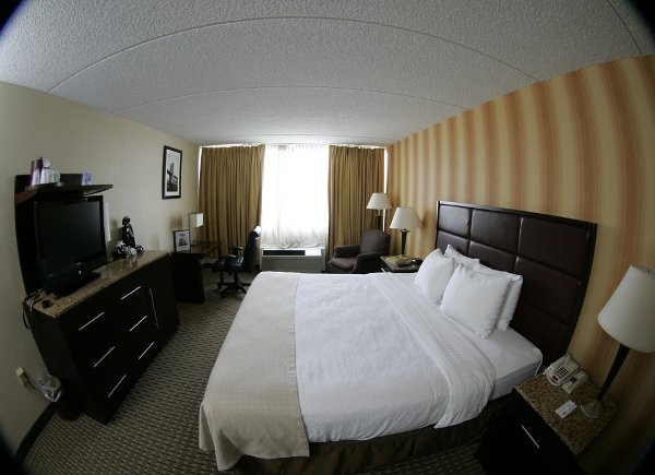 Single King Bed Single King Room