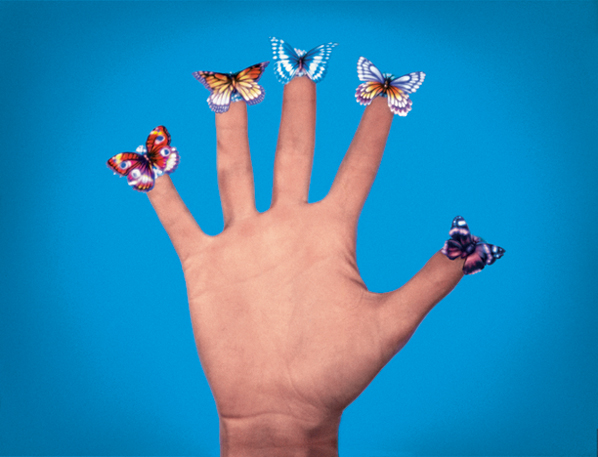 Jack Goldstein, Some Butterflies, 1975, 16mm film; color; silent; 30 sec. Courtesy Galerie Daniel Buchholz, Berlin/Cologne and the Estate of Jack Goldstein.